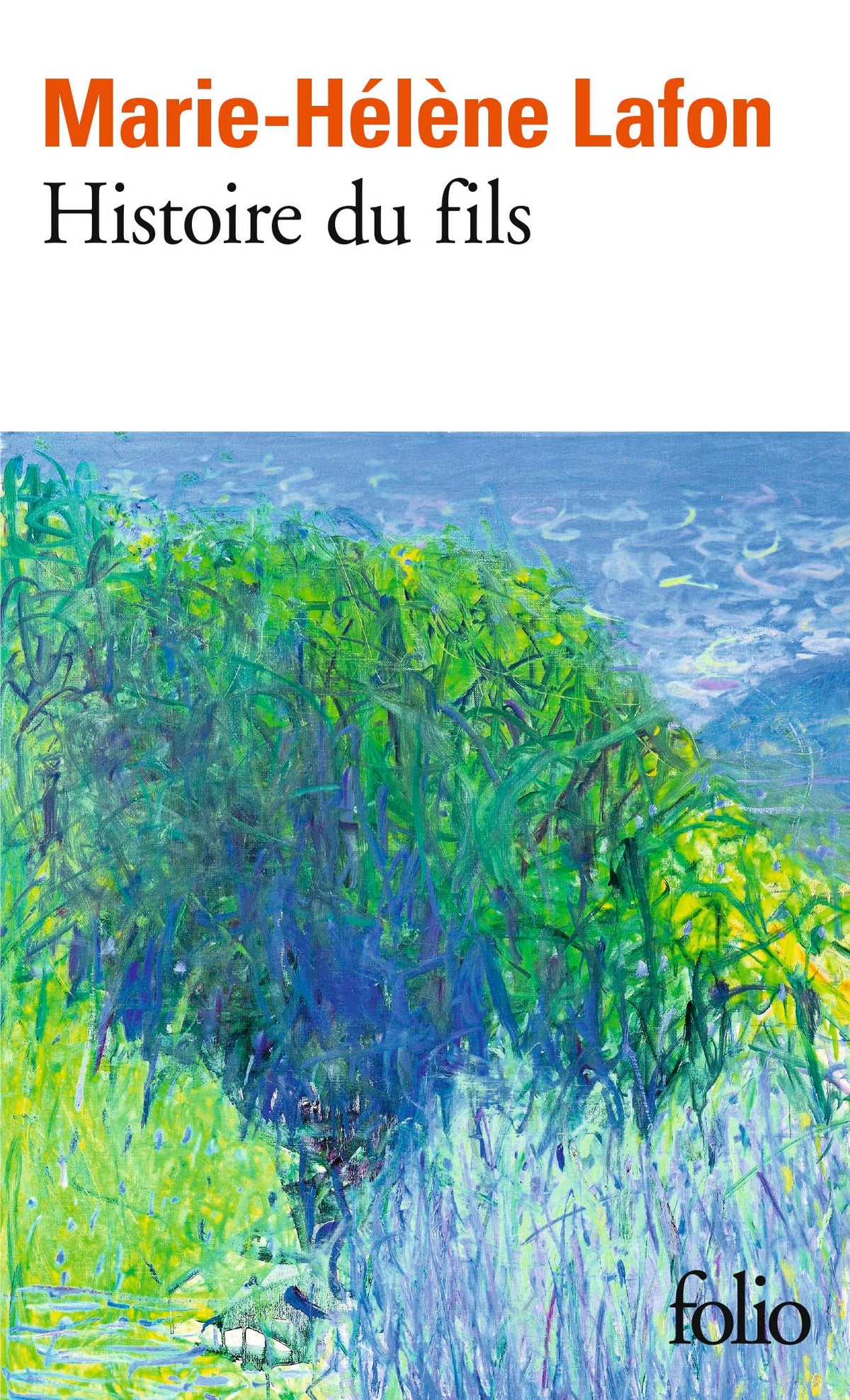 Histoire du fils - Livre d'occasion