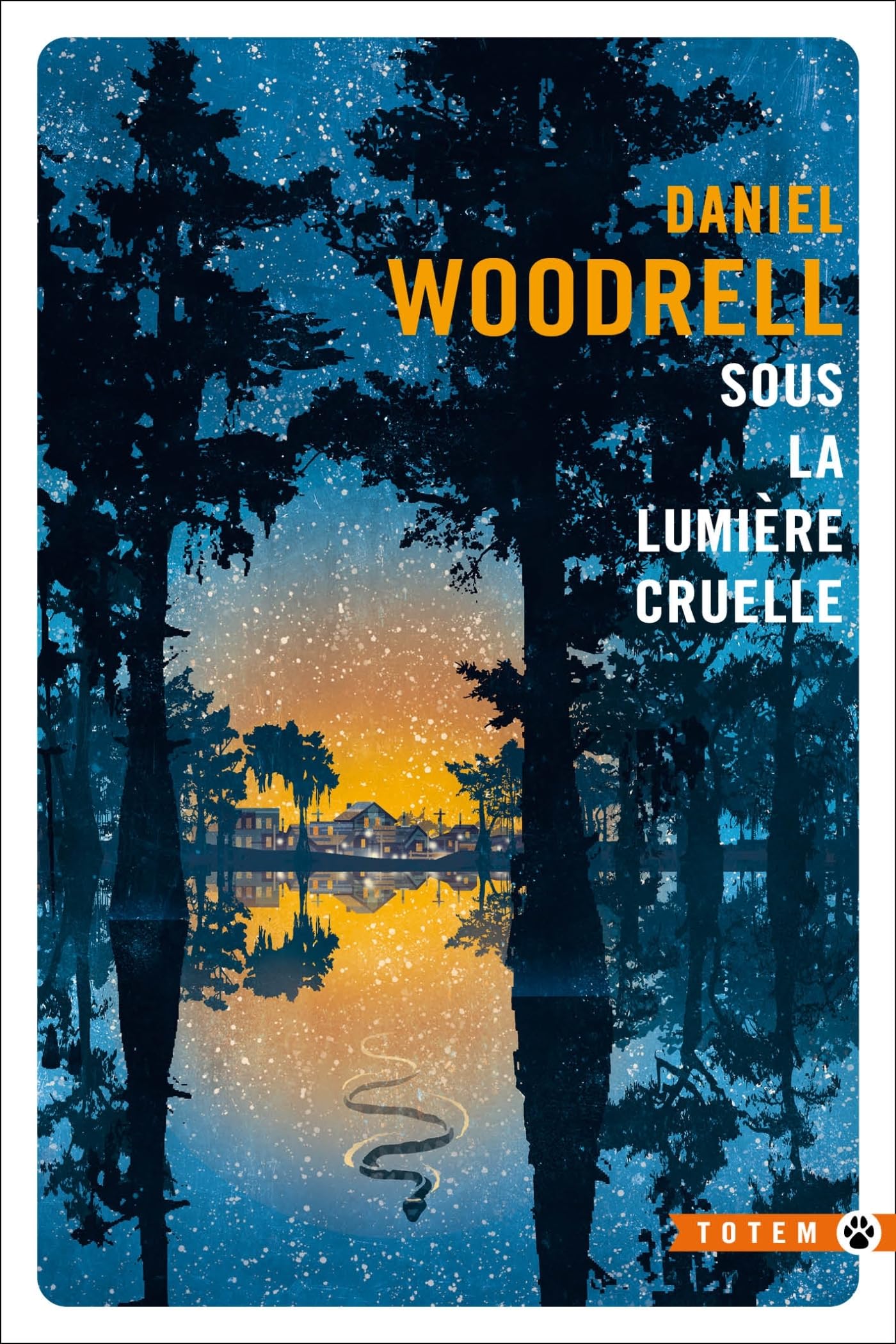 Sous la lumière cruelle - Livre d'occasion