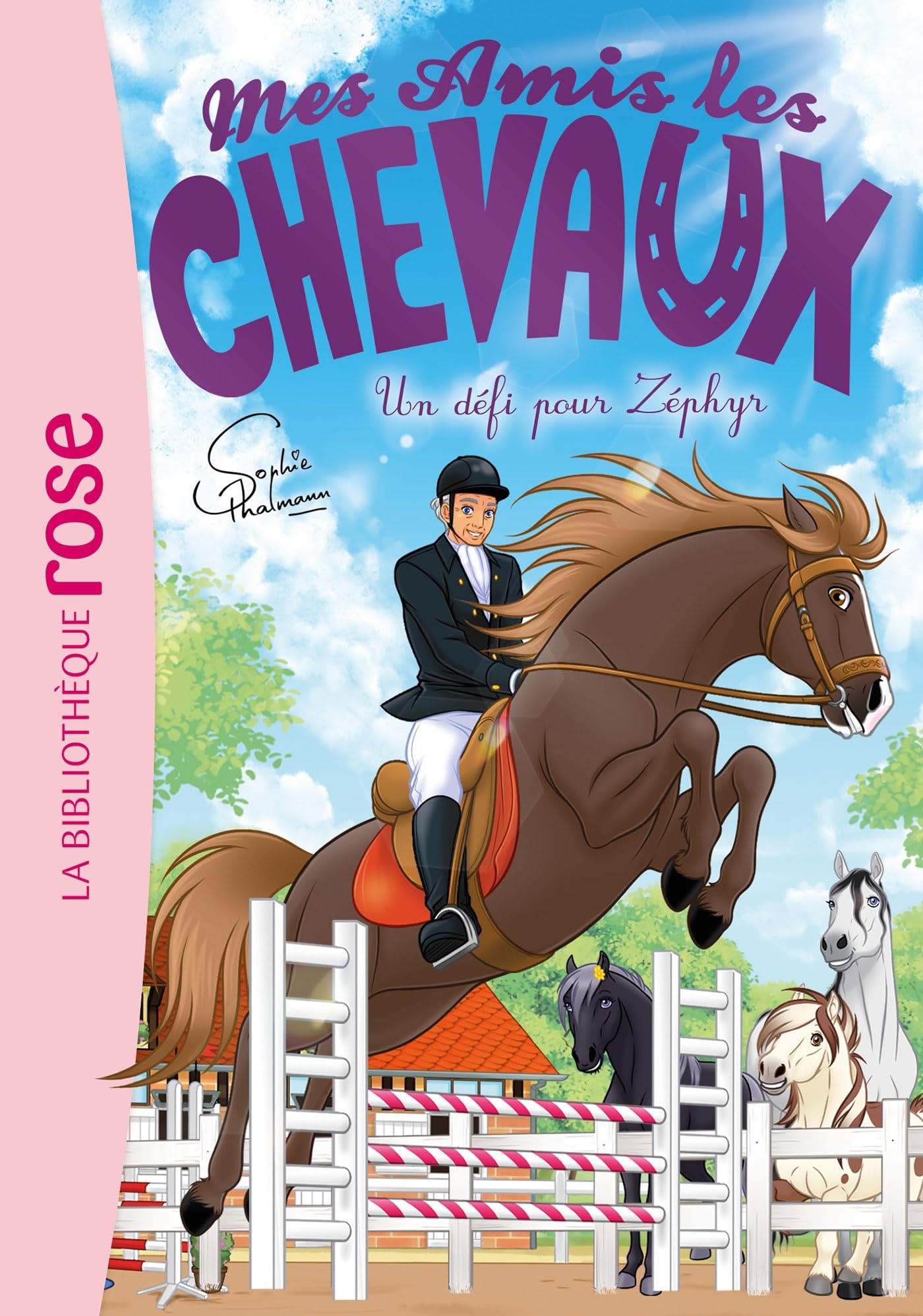 Mes amis les chevaux 49 - Un défi pour Zéphyr - Livre d'occasion