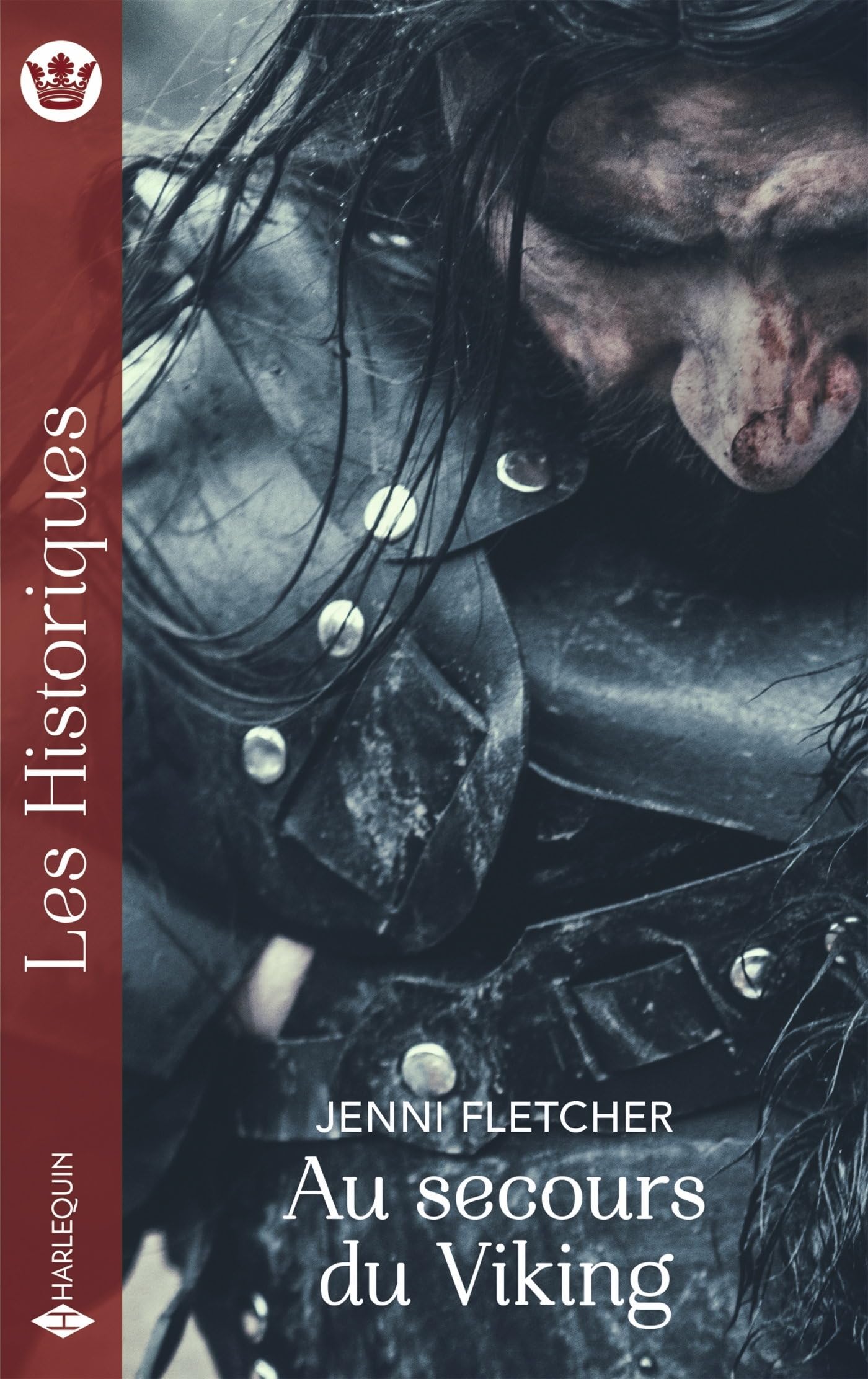 Au secours du Viking - Livre d'occasion