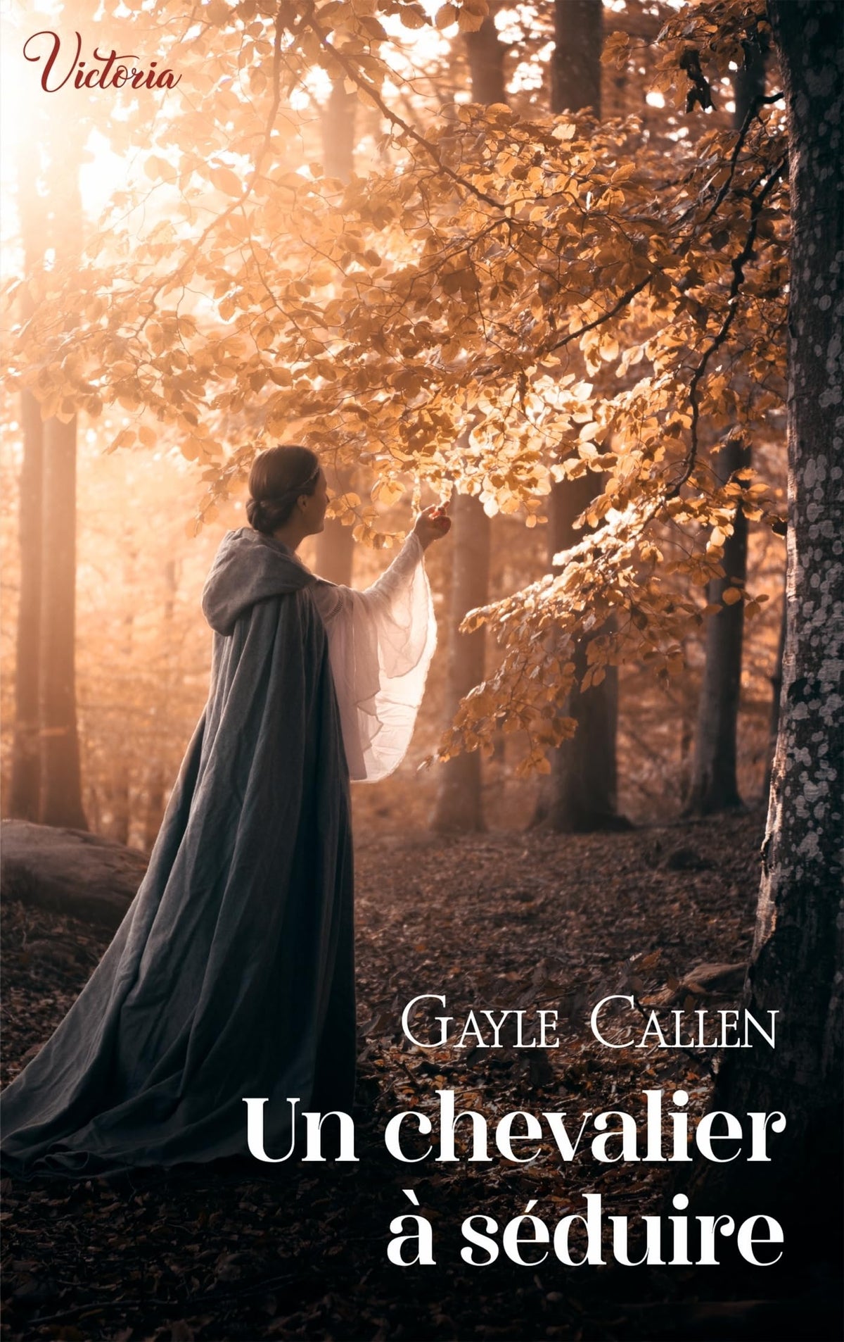 Un chevalier à séduire - Livre d'occasion