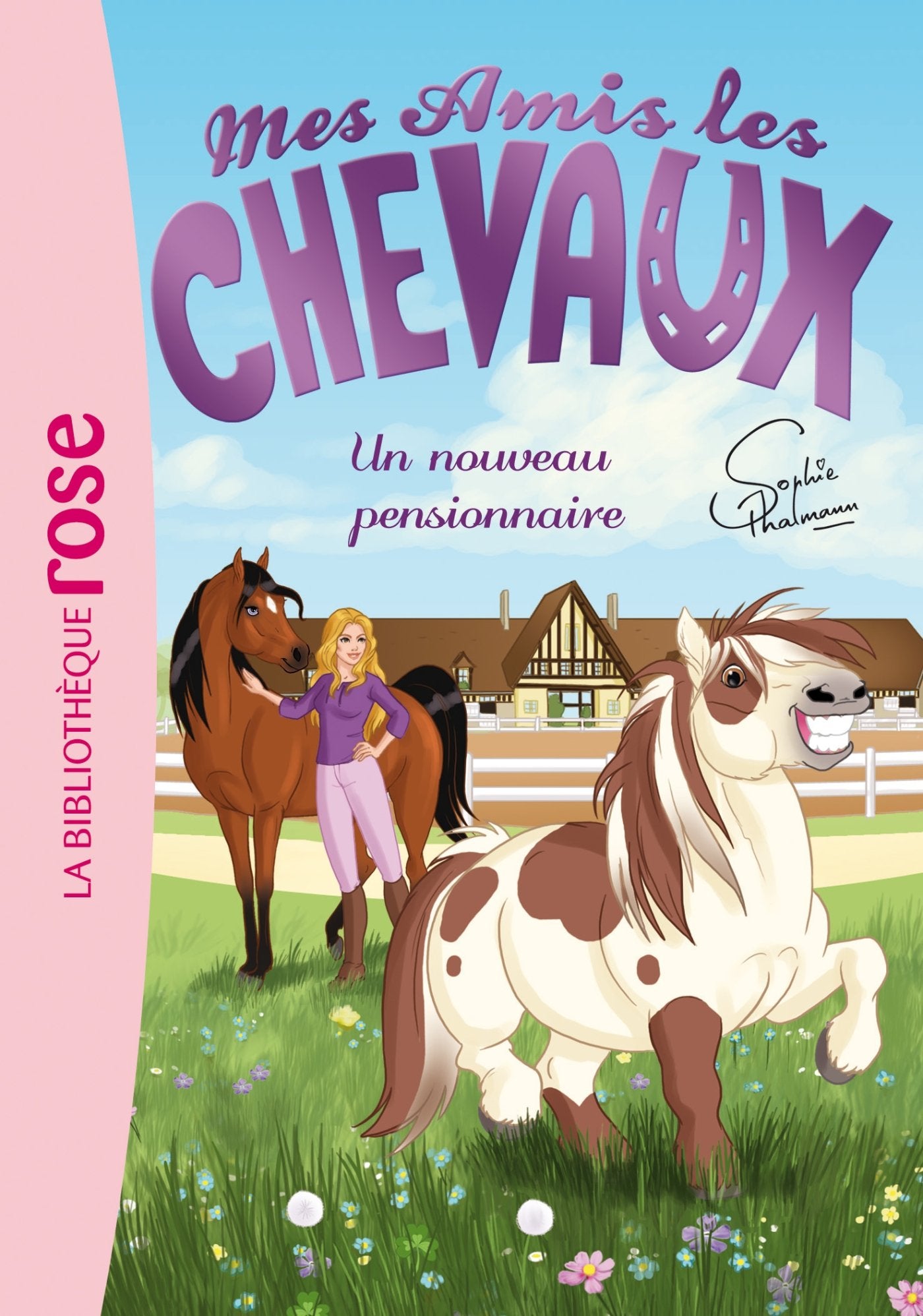 Mes amis les chevaux, tome 1 : Un nouveau pensionnaire - Livre d'occasion