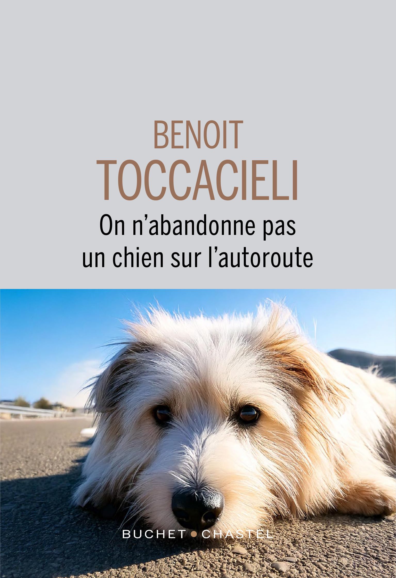 On n'abandonne pas un chien sur l autoroute - Livre d'occasion