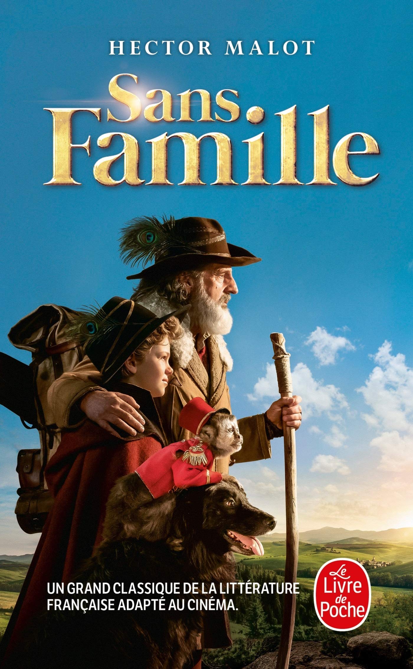 Sans famille (nouvelle edition) - Livre d'occasion
