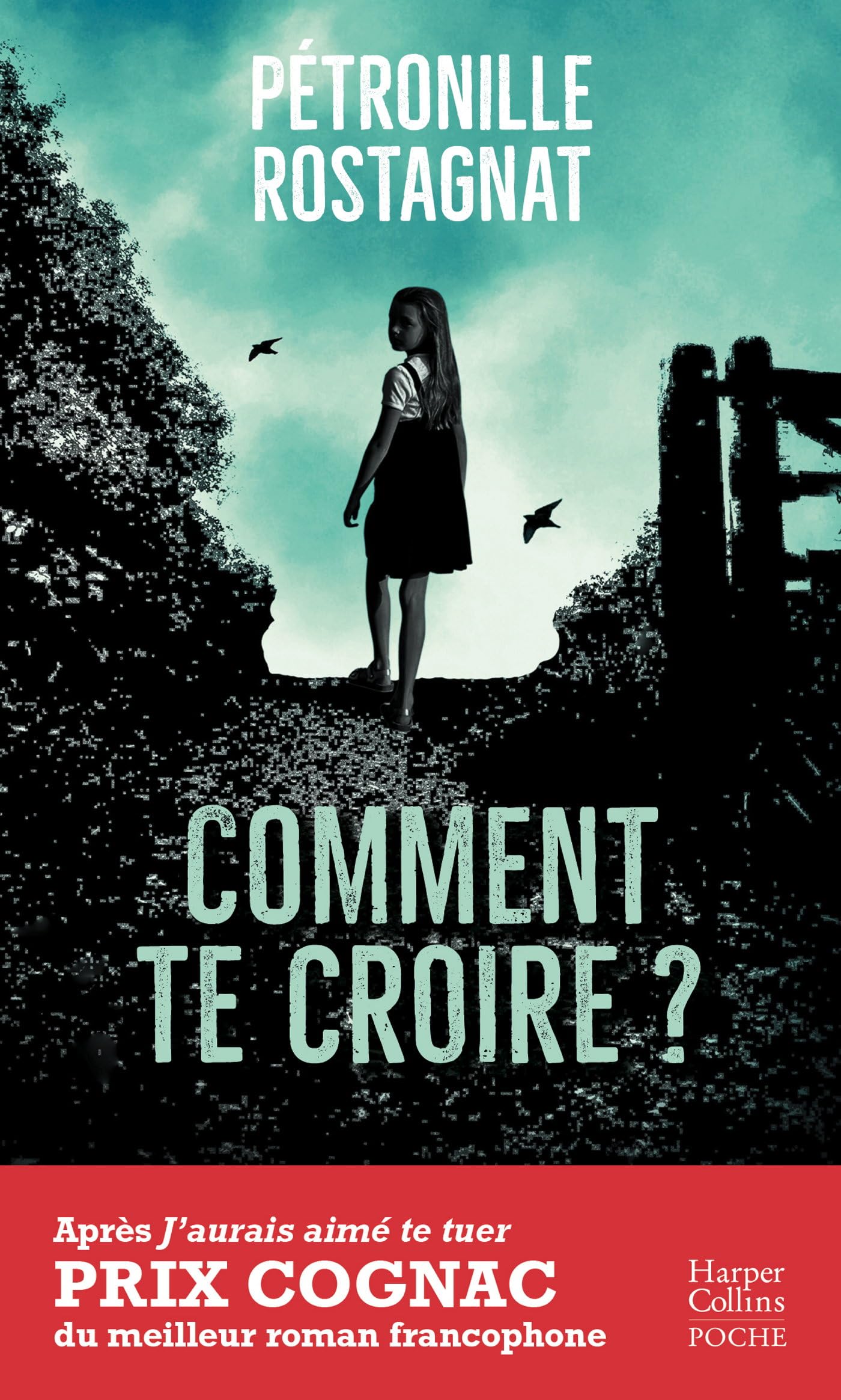 Comment te croire ?: Par l'autrice de "J'aurais aimé te tuer" lauréat du Prix Cognac - Livre d'occasion