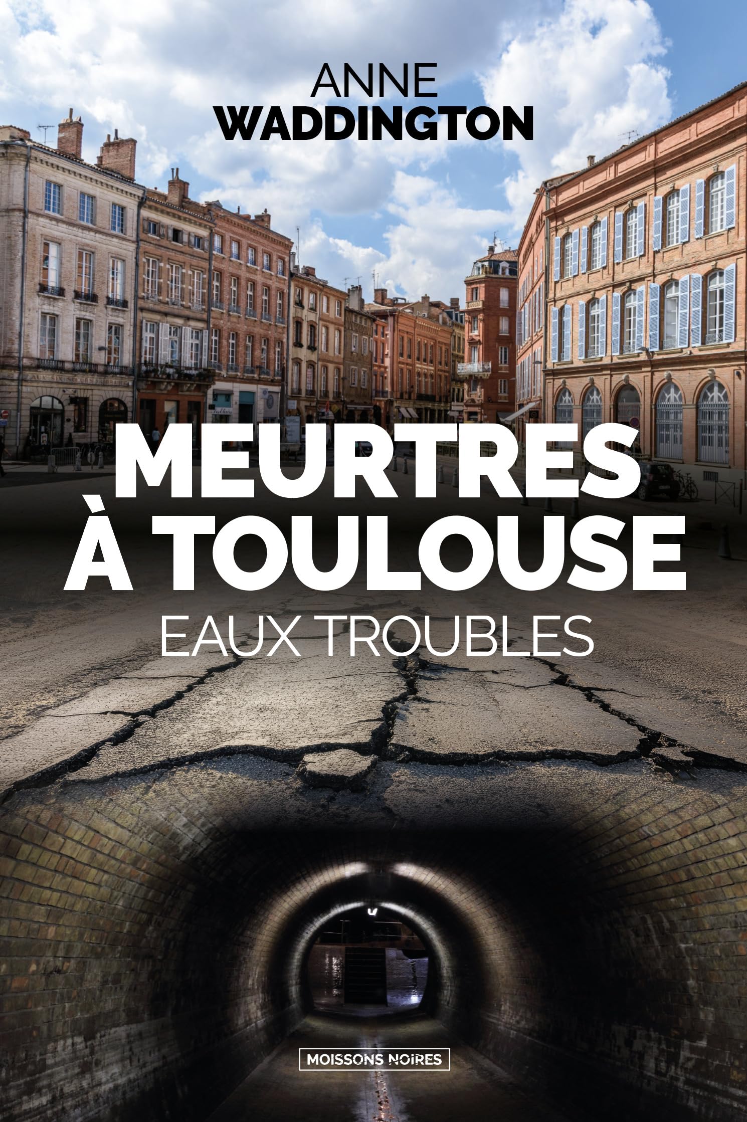 Meurtres a toulouse - eaux troubles - Livre d'occasion