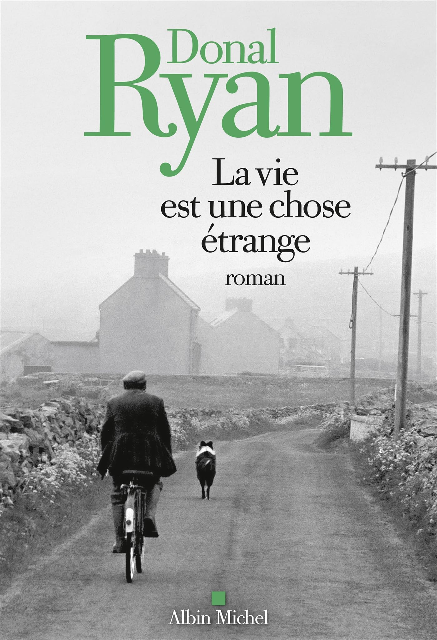 La Vie est une chose étrange - Livre d'occasion