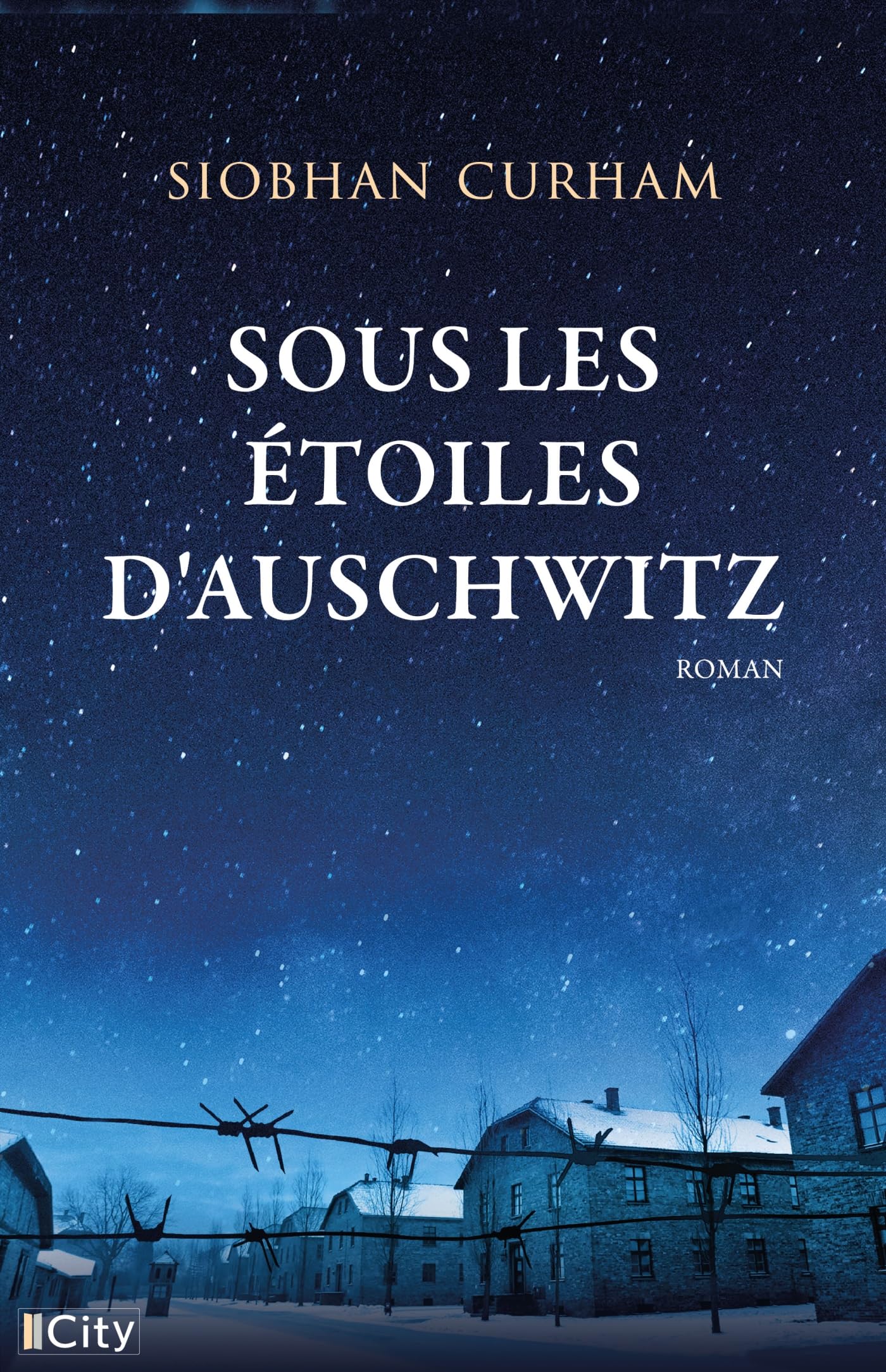 Sous les étoiles d'Auschwitz - Livre d'occasion