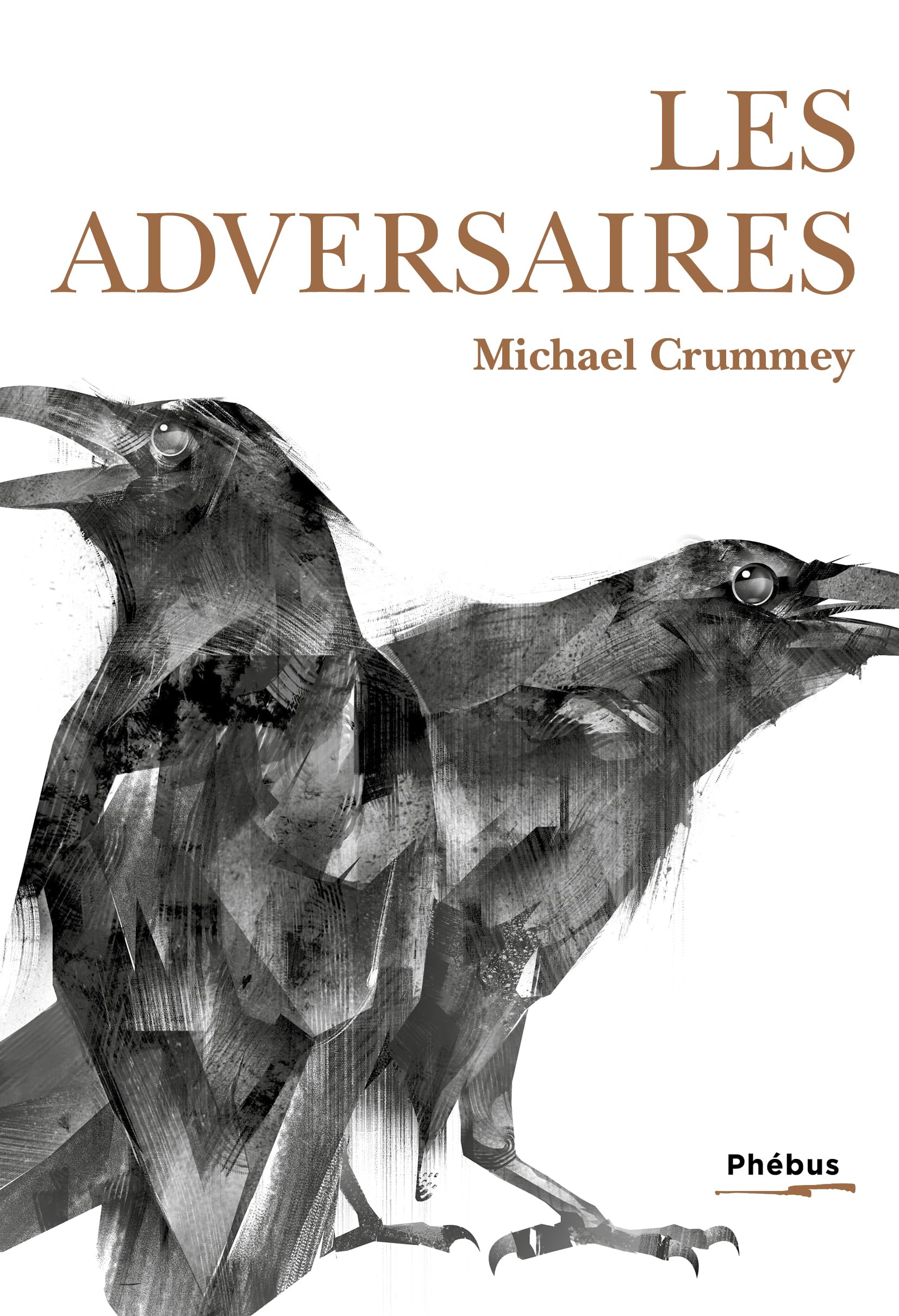 Les adversaires - Livre d'occasion