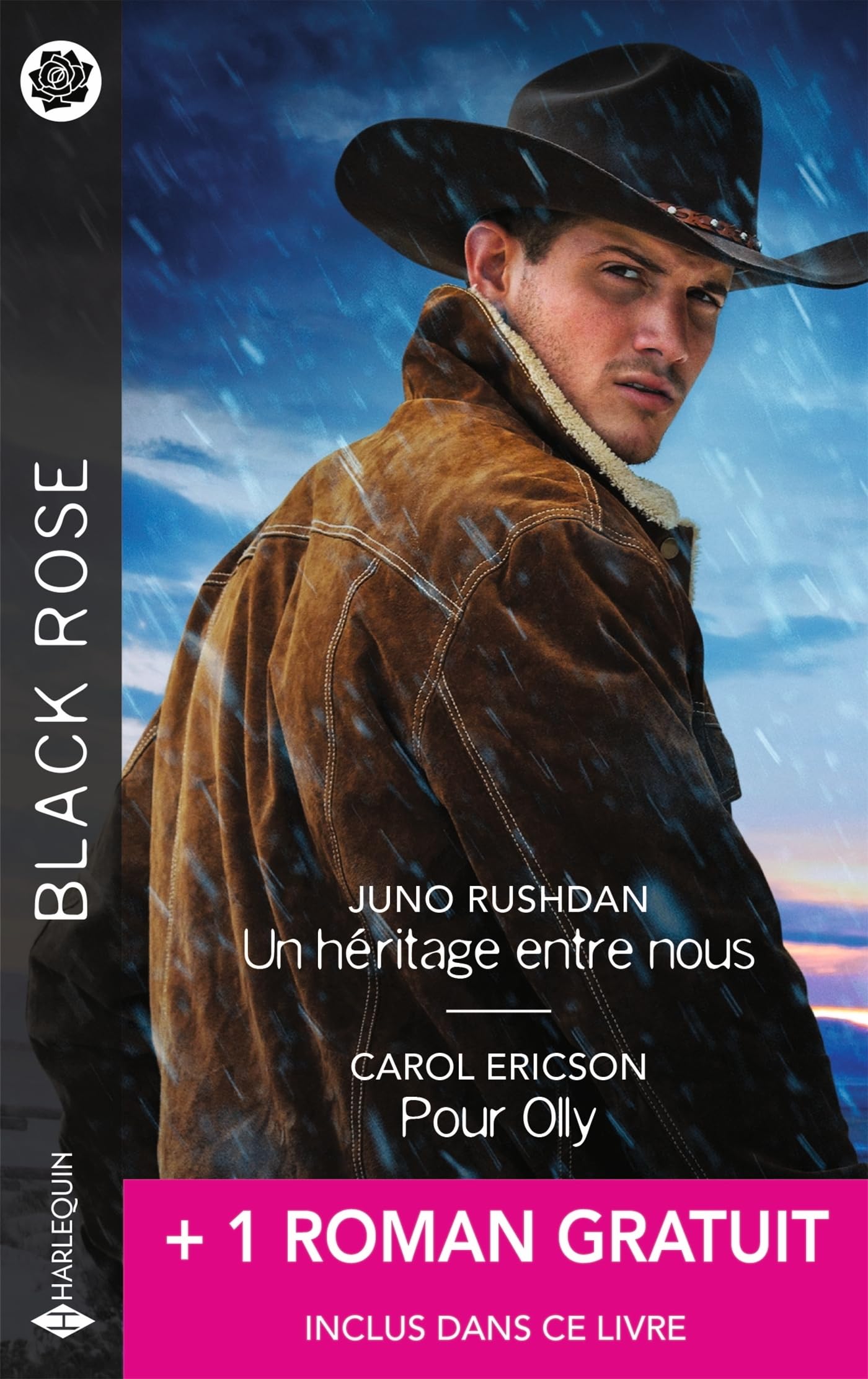 Un héritage entre nous - Pour Olly - Au coeur de la tempête - Livre d'occasion