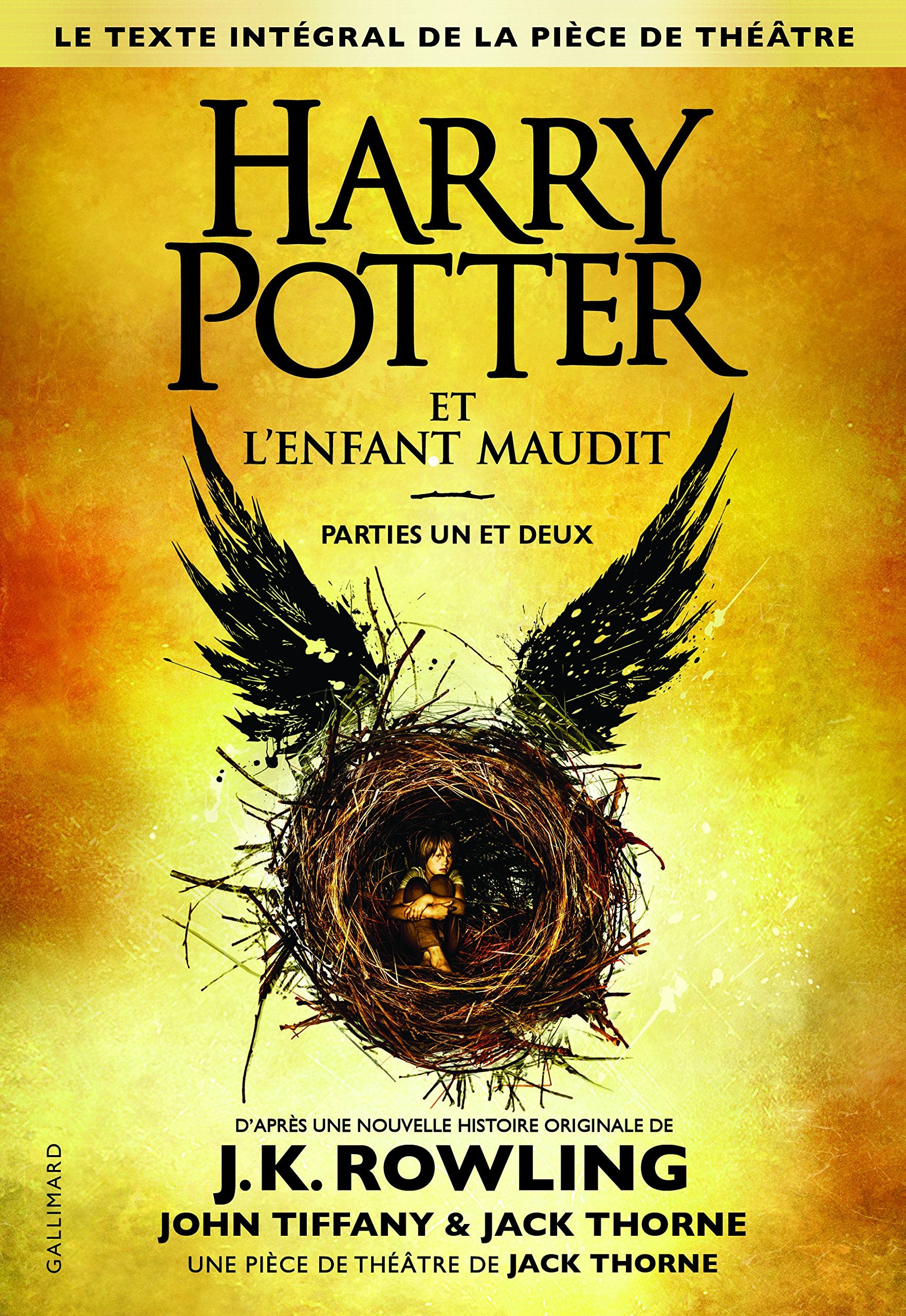 HARRY POTTER ET L'ENFANT MAUDIT - PARTIES I ET II - Livre d'occasion