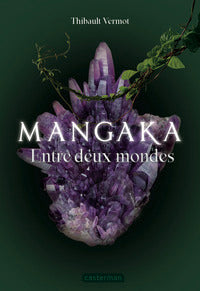 Mangaka - vol02 - entre deux mondes - Livre d'occasion