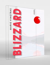 BLIZZARD - EDITION COLLECTOR - NOUVELLE EDITION - Livre d'occasion