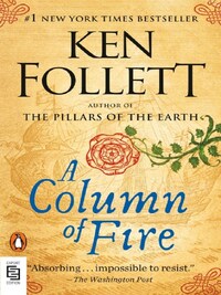 A column of fire - Livre d'occasion