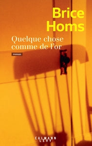 Quelque chose comme de l'or - Livre d'occasion