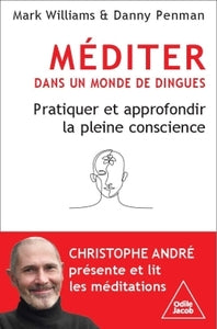 MEDITER DANS UN MONDE DE DINGUES - PRATIQUER ET APPROFONDIR LA PLEINE CONSCIENCE - Livre d'occasion
