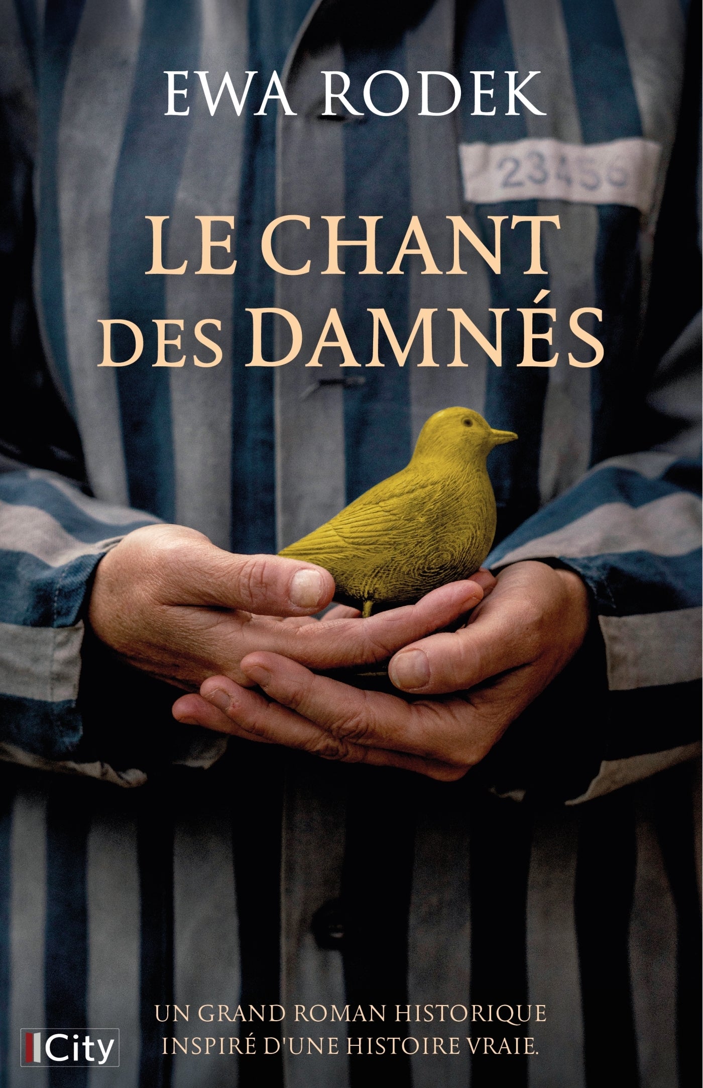 Le chant des damnes - Livre d'occasion