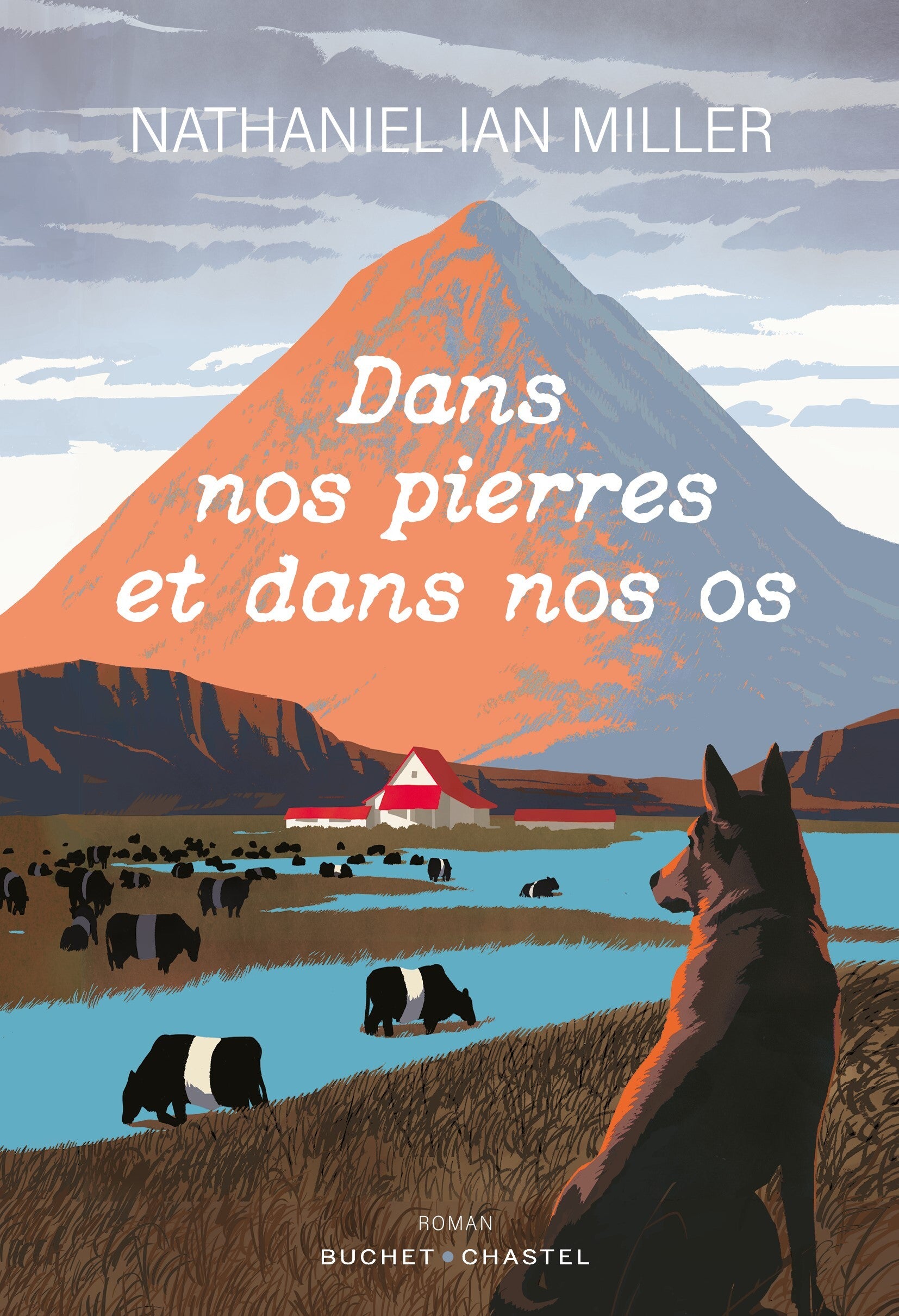 Dans nos pierres et dans nos os - Livre d'occasion