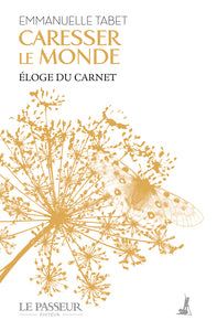Caresser le monde - eloge du carnet - Livre d'occasion