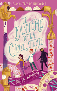 Les mysteres de dundoodle - tome 1 le fantome de la chocolaterie - Livre d'occasion