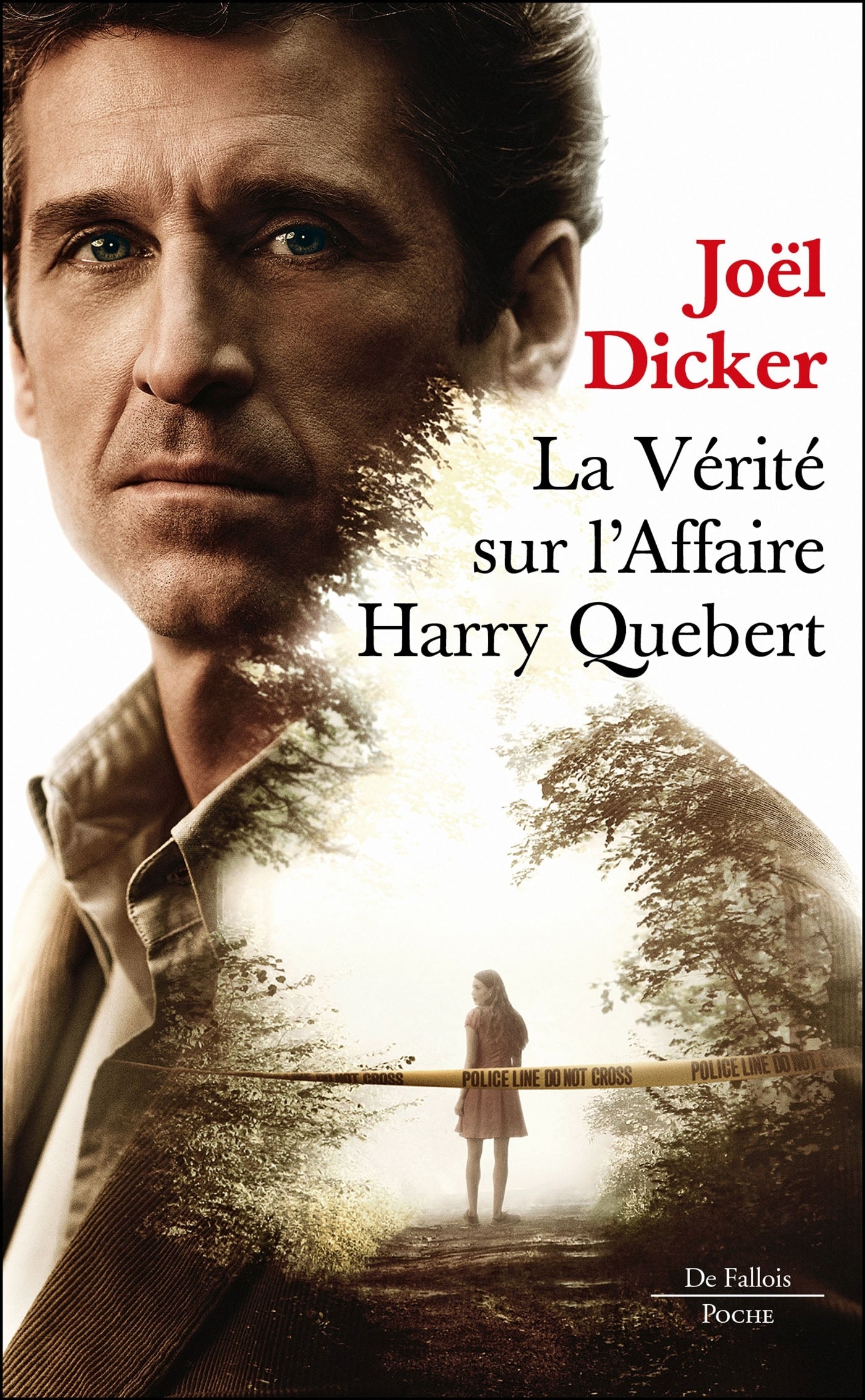 La vérité sur l'affaire harry québert - Livre d'occasion