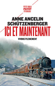 Ici et maintenant - vivons pleinement - Livre d'occasion