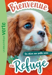 Bienvenue au refuge - t13 - bienvenue au refuge 13 - un chien aux petits soins - Livre d'occasion