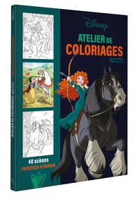 DISNEY TEENS - ATELIER DE COLORIAGES - PRINCESSES ET CHEVAUX - Livre d'occasion