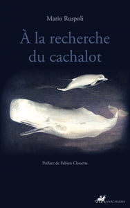 A la recherche du cachalot - Livre d'occasion