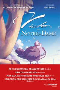 Victor de notre-dame - roman - Livre d'occasion