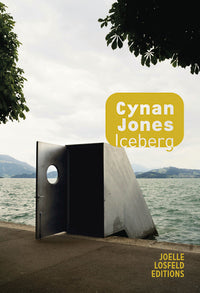 Iceberg - Livre d'occasion