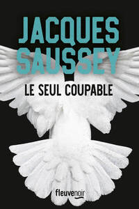 Le seul coupable - Livre d'occasion