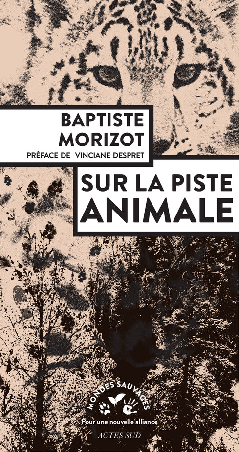 Sur la piste animale - Livre d'occasion