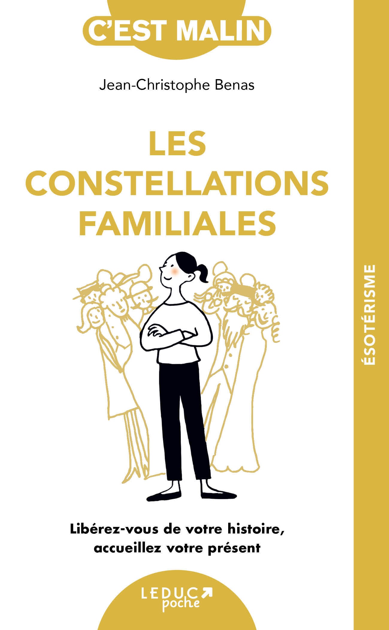Les constellations familiales - liberez-vous de votre histoire, accueillez votre present - Livre d'occasion