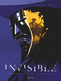 Invisible - tome 01 - memoires d'aymond de terre-noire - Livre d'occasion