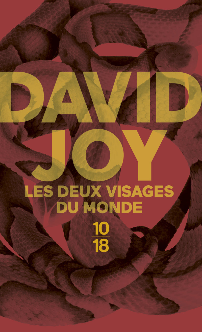 Les deux visages du monde - Livre d'occasion
