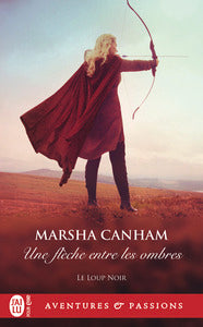 Une flèche entre les ombres - Livre d'occasion