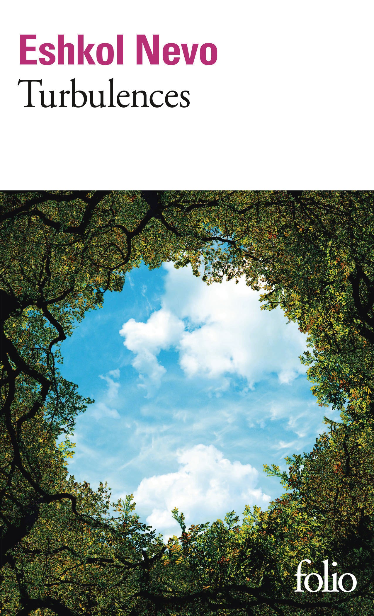 Turbulences - Livre d'occasion