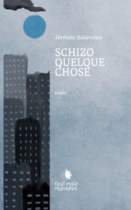 Schizoquelquechose - Livre d'occasion