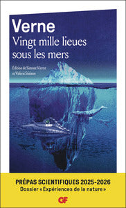 VINGT MILLE LIEUES SOUS LES MERS - Livre d'occasion