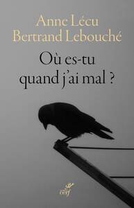 OU ES-TU QUAND J'AI MAL ? - NOUVELLE EDITION - Livre d'occasion