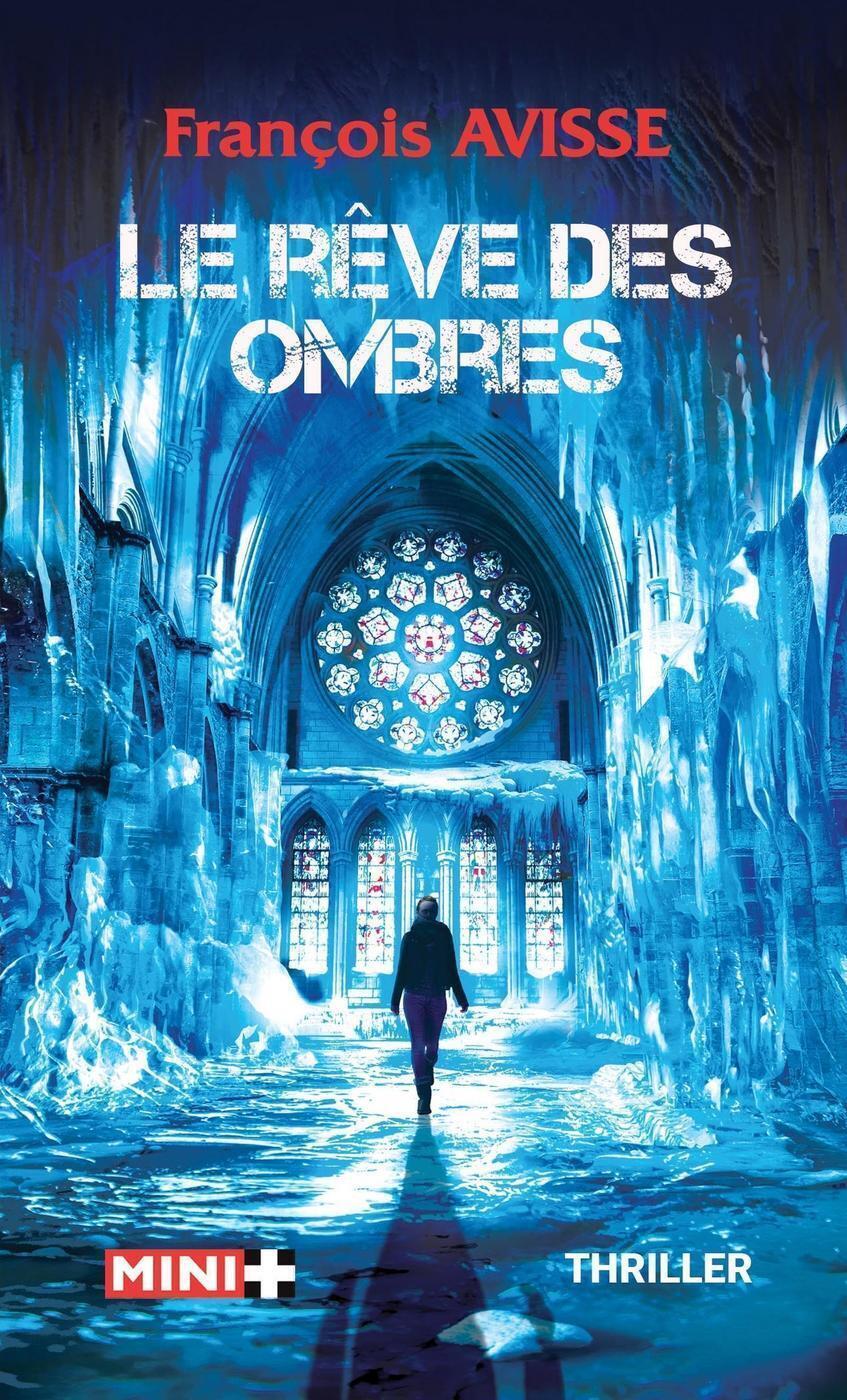 Le reve des ombres - Livre d'occasion