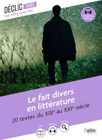 LE FAIT DIVERS EN LITTERATURE - 20 TEXTES DU XIXE AU XXIE SIECLE - Livre d'occasion
