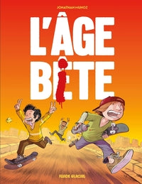 Petit journal d'un gros fragile - t01 - l'age bete - Livre d'occasion