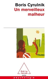 Un merveilleux malheur - Livre d'occasion