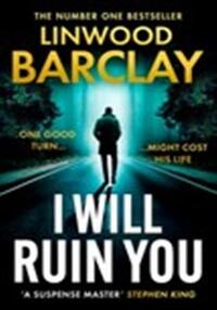 I will ruin you - Livre d'occasion