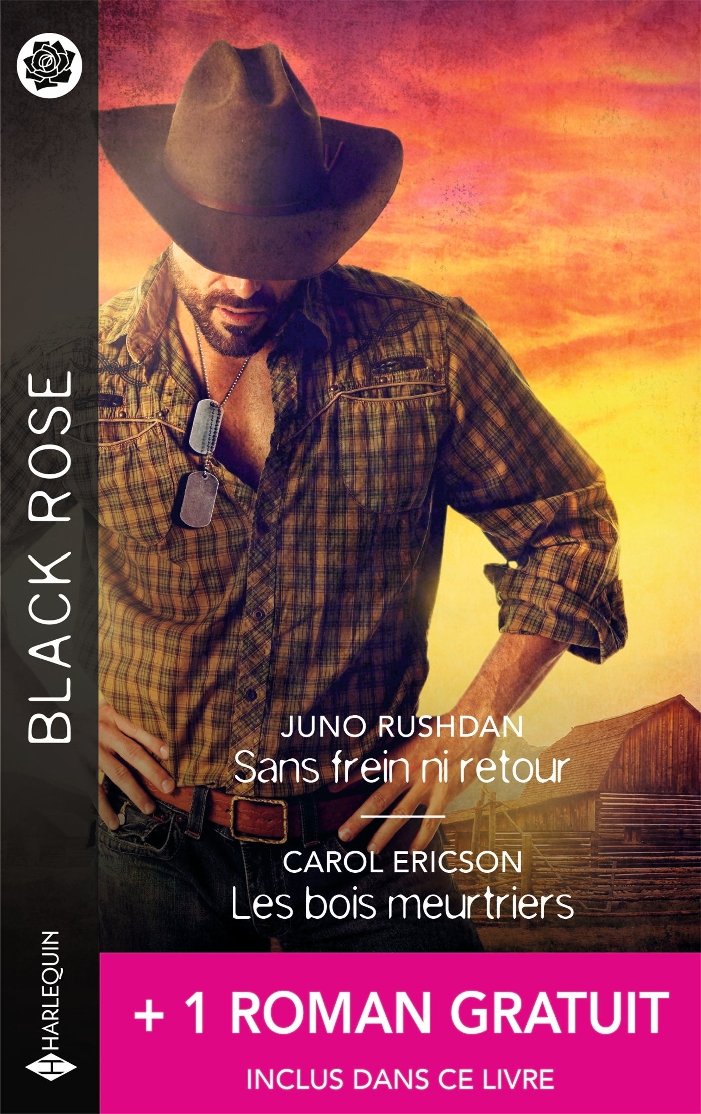 Sans frein ni retour - les bois meurtriers + 1 titre gratuit - Livre d'occasion