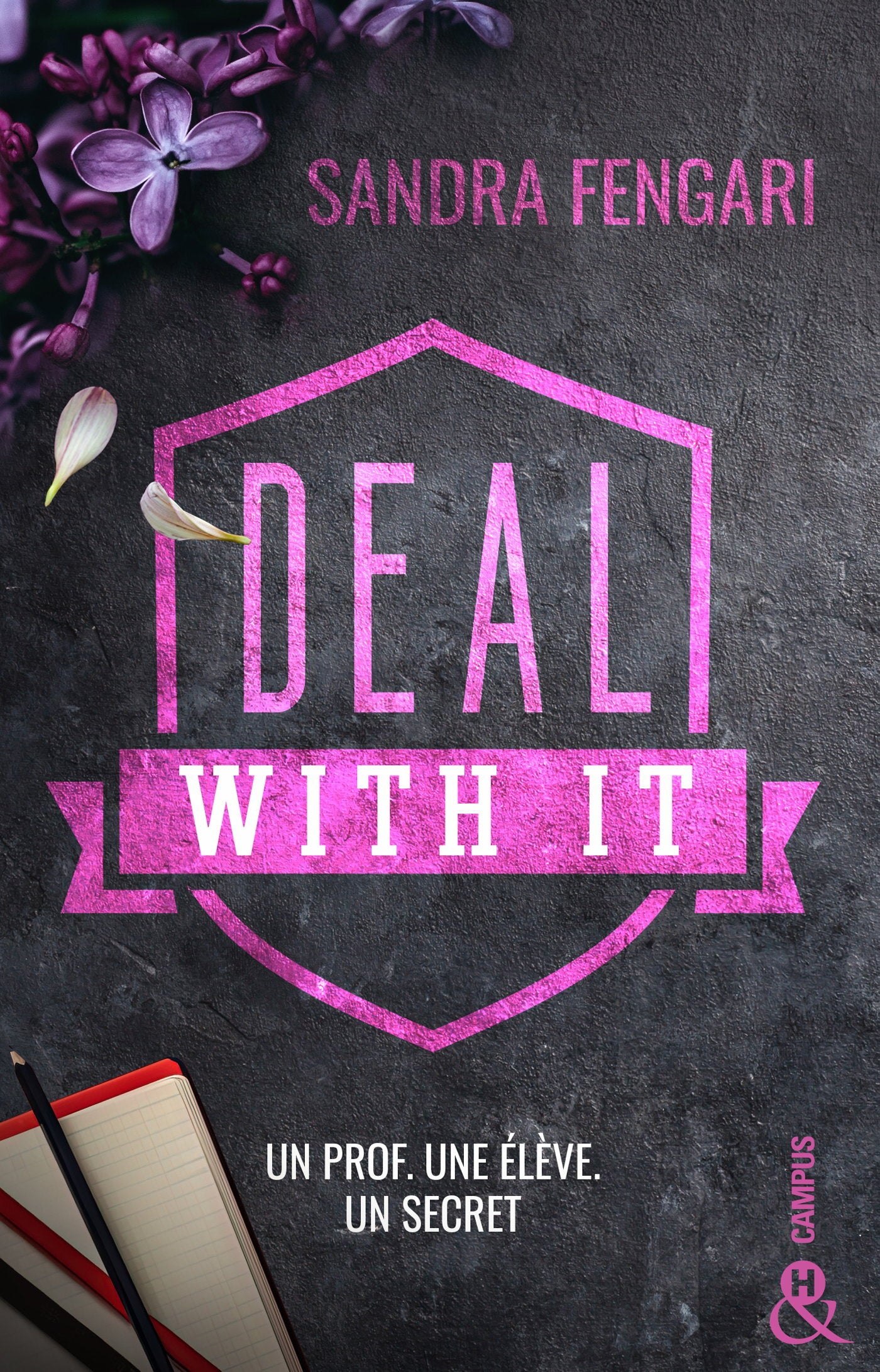 Deal with it - un prof. une eleve. un secret - Livre d'occasion