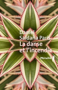 LA DANSE ET L'INCENDIE - Livre d'occasion
