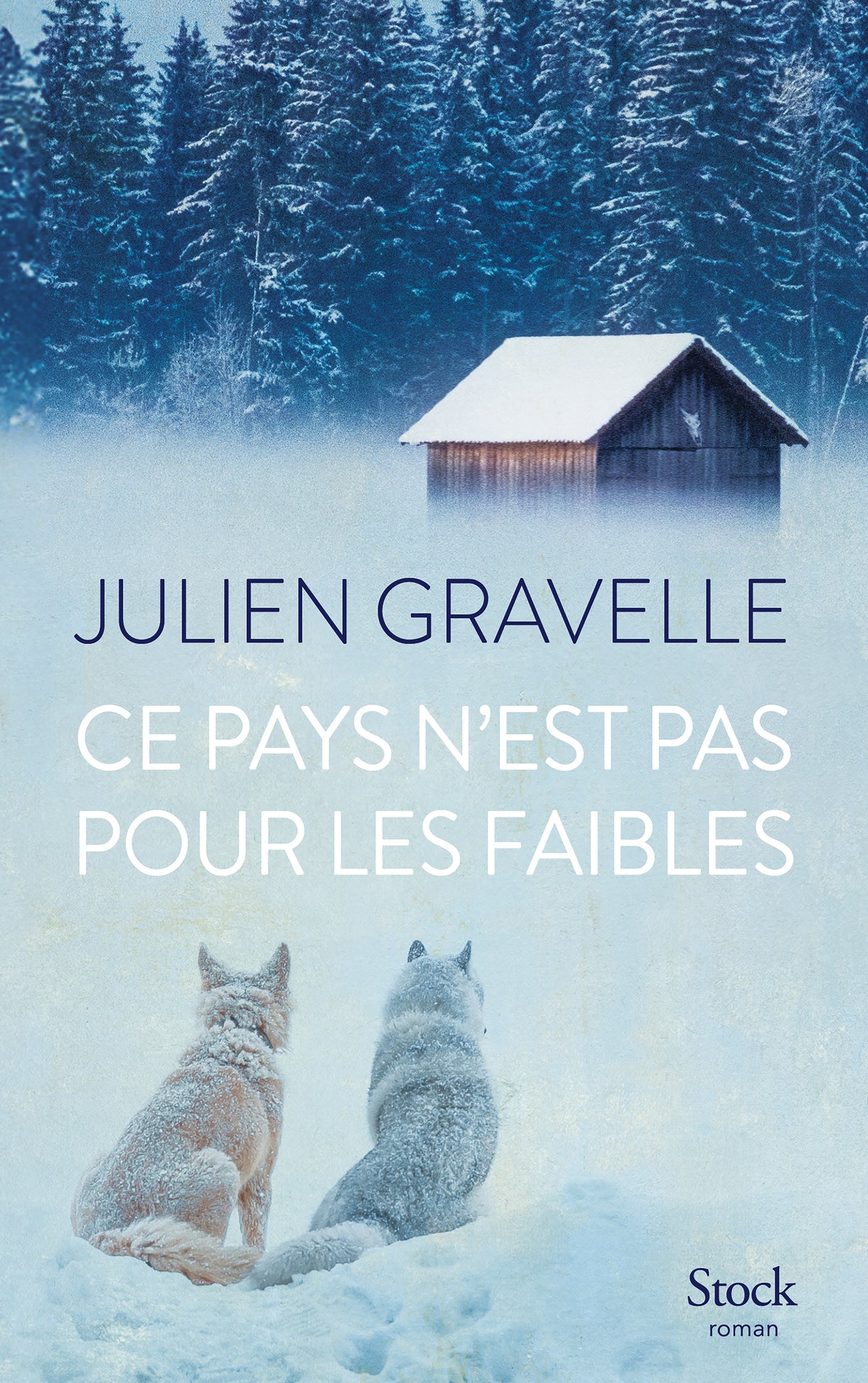 Ce pays n'est pas pour les faibles - Livre d'occasion